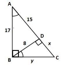 Simple Question. Easy Points Find x and y...-example-1