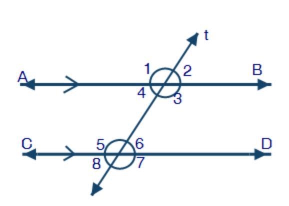 Danny draws a transversal, t, on two parallel lines AB and CD, as shown below: He-example-1