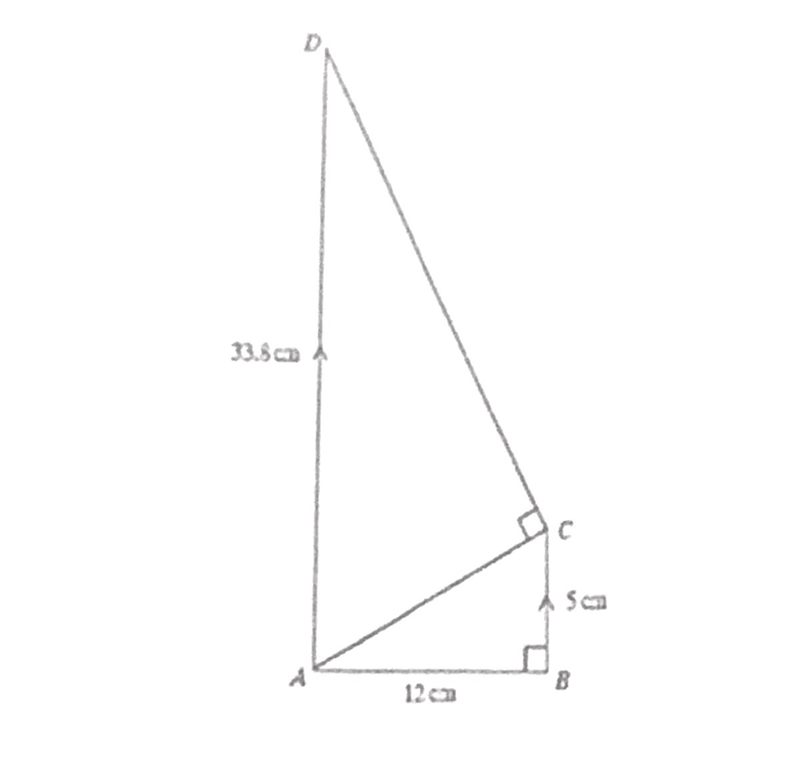 Calculate m∠ADC. Round to the nearest tenth.-example-1