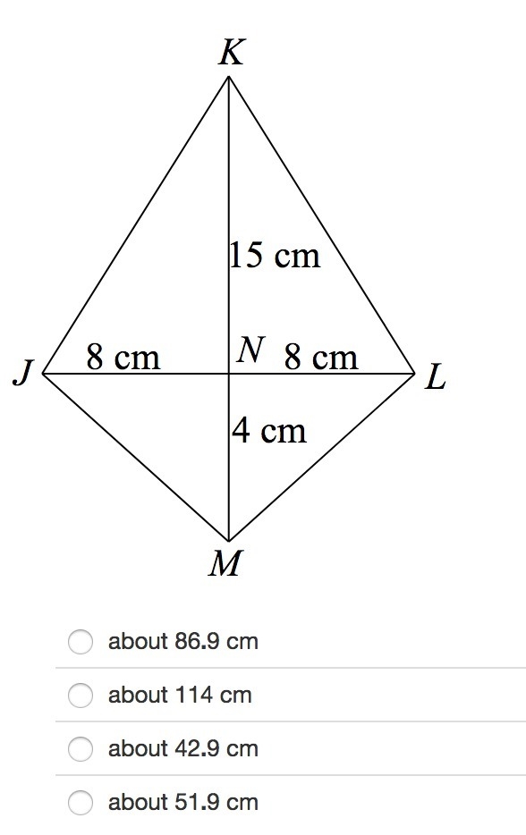 Nancy is making a kite based on the pattern below. About how much binding does Nancy-example-1