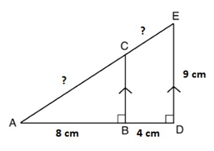 Since BC is parallel to DE, triangles ABC and ADE are similar. What are the lengths-example-1