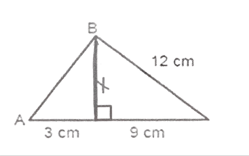 Calculate the length of AB. Round to the nearest hundredth. If possible, explain your-example-1