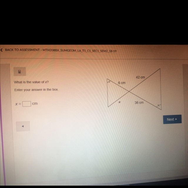 What is the value of x?-example-1