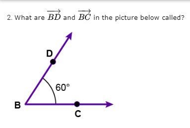 A. sides B. inclines C. opposites D. vertices-example-1