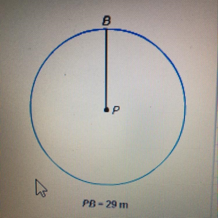 What is the circumference of circle P? Express your answer in terms of Pi PB= 29 m-example-1