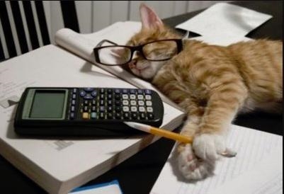 Math Kitty needs help: 12+24x=6-example-1