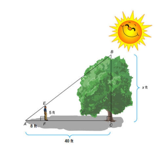 The diagram shows 5 ft student standing near a tree. The shadow of the student and-example-1