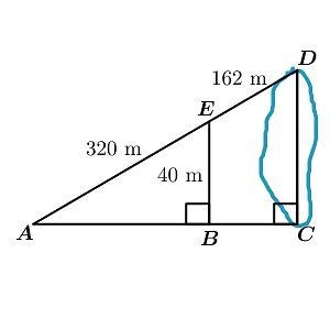 The following figure is drawn to find the distance across a lake, CD. (See picture-example-1