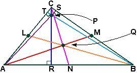 Please help lolol Name the following segment or point. Given: L, M, N are midpoints-example-1