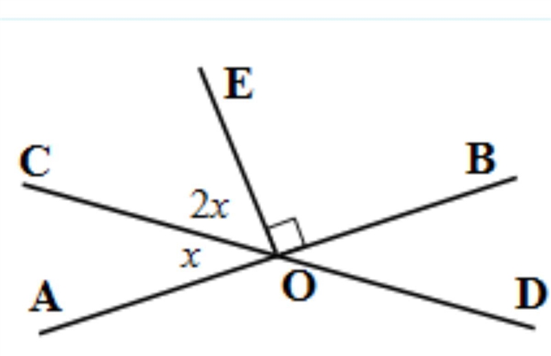 Lines AB and CD (if present in the picture) are straight lines. Fill in the blank-example-1