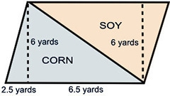 A farmer has decided to divide his land area in half in order to plant soy and corn-example-1