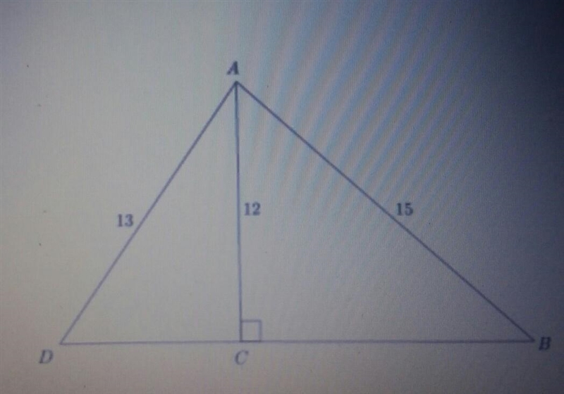 What is the length of side BD in the triangle above?​-example-1