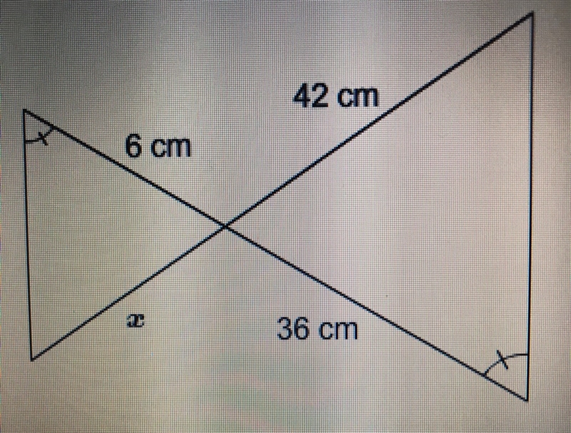 What is the value of x? Enter your answer in the box. X = ___ cm-example-1