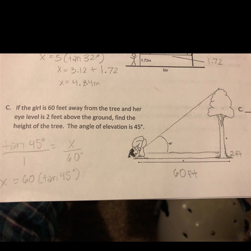 What is the height of the tree?-example-1