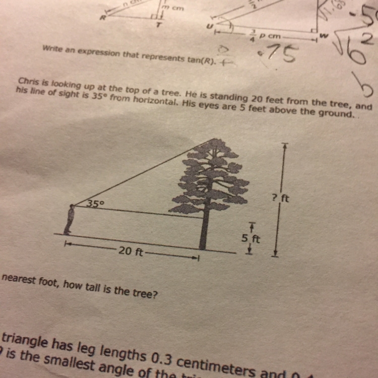 How tall is the tree-example-1