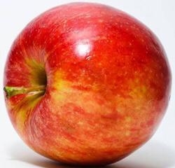 What would be the BEST formula to model the volume of an apple? A) volume of a cone-example-1