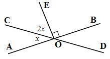 Lines AB and CD (if present in the picture) are straight lines. Fill in the blank-example-1