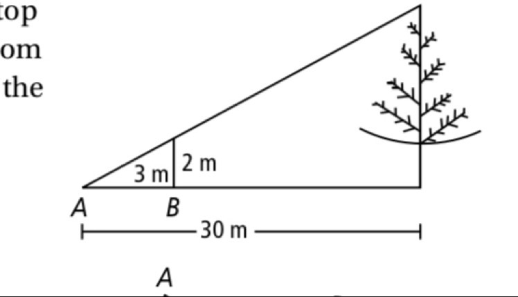 A stick 2 m long is placed vertically at point B. The top of the stick is in line-example-1