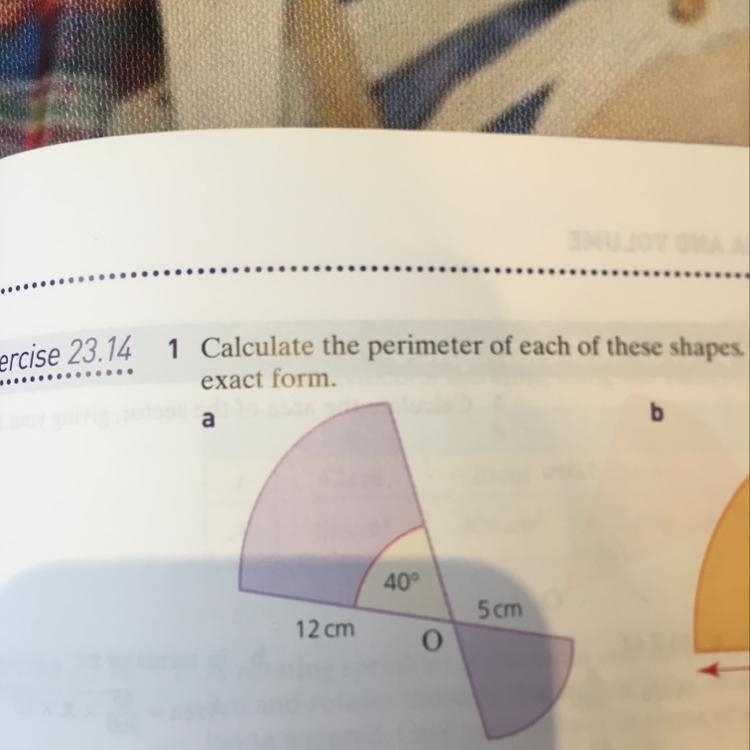 Please help me! I can’t find the perimeter of this shape-example-1