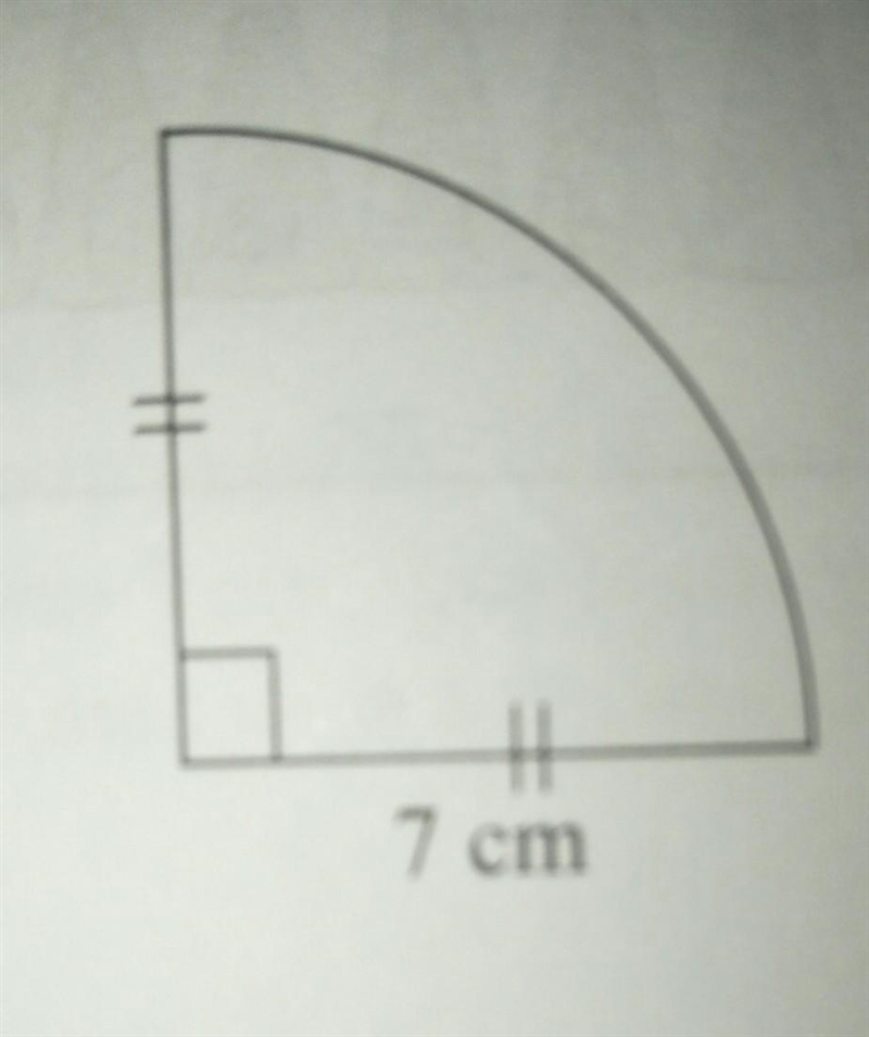 Find the perimeter of the following.​-example-1