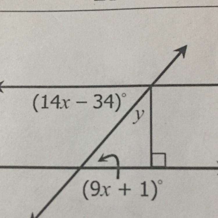 Someone plz help me find x and y in this angle-example-1