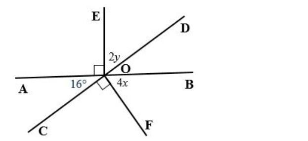 Lines AB and CD are straight lines. Find x and y. Give reasons to justify your solutions-example-1