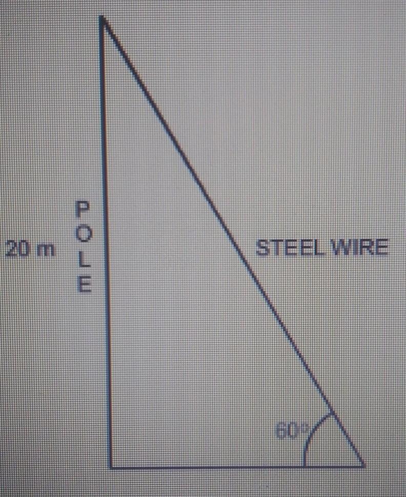 A wooden pole is 20 m high. A steel wire is tied to the top of the pole and fixed-example-1