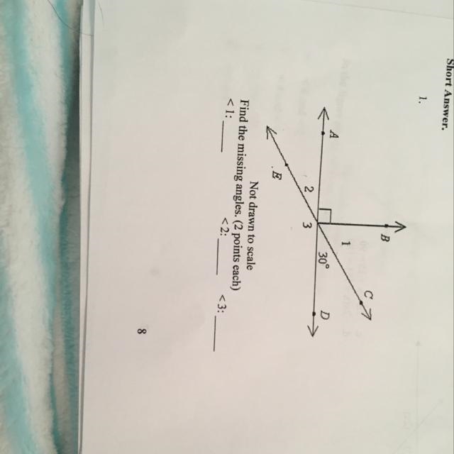 Help helppp pls math-example-1