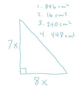 If x=4 cm find the area of this triangle ​-example-1