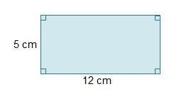 What is the area of the rectangle?-example-1