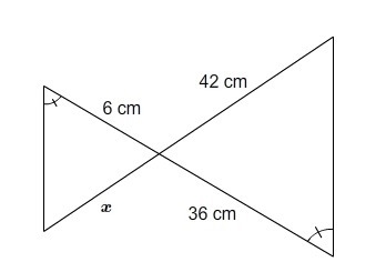 What is the value of x? Enter your answer in the box. x = cm screenshot below-example-1