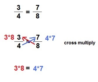 So I have no idea how this even works so yeah can somebody please help me-example-1