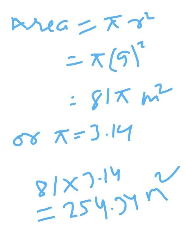 Find the area of a circle with the radius 9m​-example-2