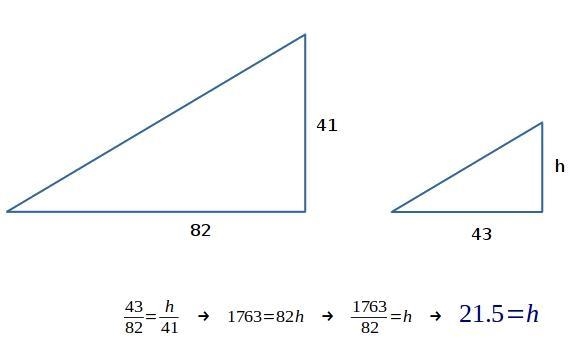 How do I solve #11? and what is the answer?-example-1