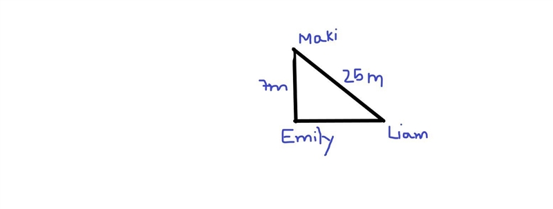 maki is playing hide and seek with Emily and Liam. Emily is hiding 7 m south of maki-example-1