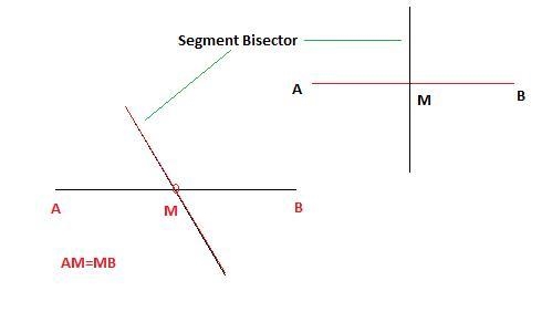 HELP(geometry) The presence of a segment bisector will result in what type of segments-example-1