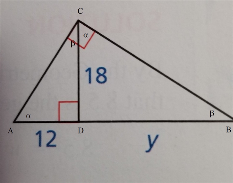 Can you find the y variable? ​-example-1