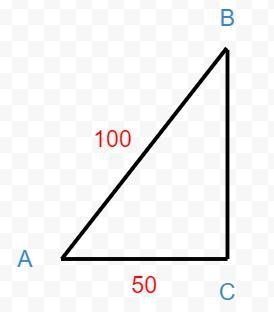 A bird caught a fish on the waters surface and flew in a straight line diagonal to-example-1