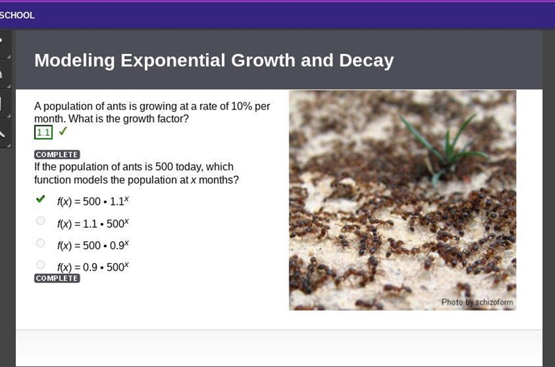 If the population of ants is 500 today, which function models the population at x-example-1