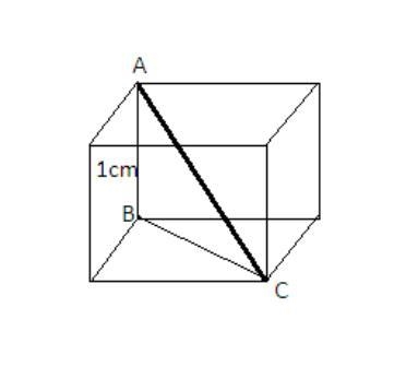 What is the length of a diagonal of a cube with a side length of 1 cm? I know it is-example-1