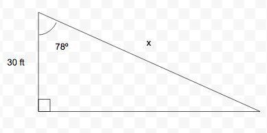 Belle, the cat, is looking down at a 78° angle from the top of a tree that is 30 ft-example-1