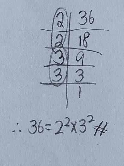 What is the prime factorization of 36? 2 ²× 9 2 × 3² 2² × 3² 3 × 13-example-1