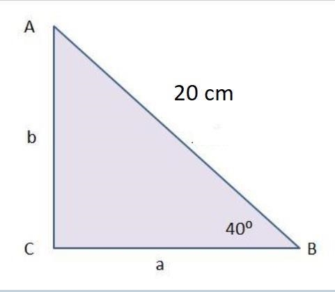 He equation sin (40 degree) equals StartFraction b Over 20 EndFraction can be used-example-1