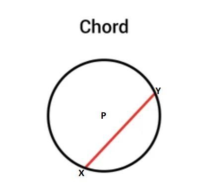 Segment passes through a sphere with Center P. Points X and Y lie on the sphere. Which-example-1