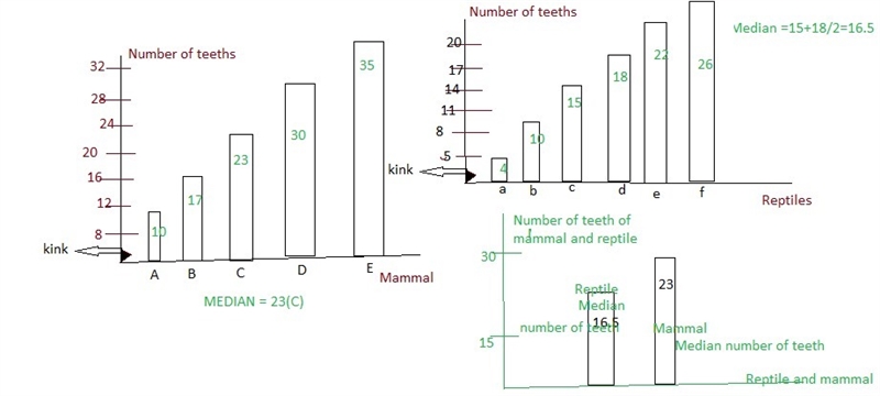 Which type of graph would allow us to compare the median number of teeth for mammals-example-1