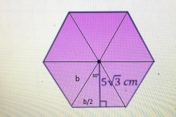 Find the area of the regular polygon. Round to the nearest tenth.-example-1