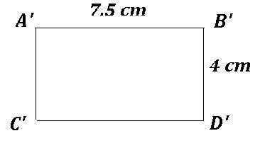 The rectangle shown in dilated by a scale factor of 1/2. (A) calculate the length-example-1