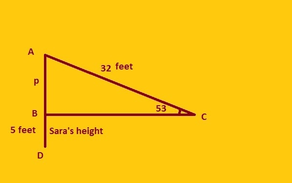 Sara is flying a kite at the park. The angle of elevation from Sara to kite in the-example-1