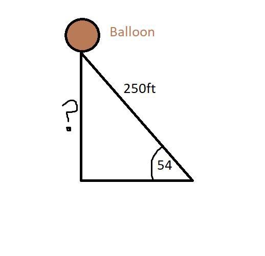 a ballon has an angle of elevation of 54° from a point on the ground. from the point-example-1