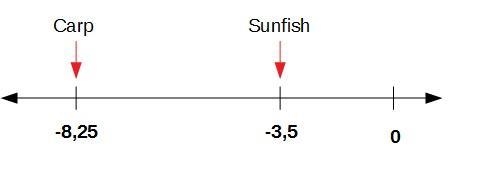 A carp is swimming approximately 8 1/4 feet beneath the water’s surface, and a sunfish-example-1